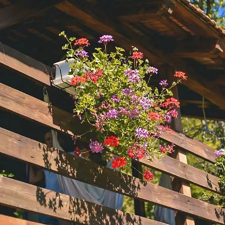 Lodge Robinzonski Turizam 