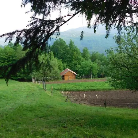 Robinzonski Turizam 