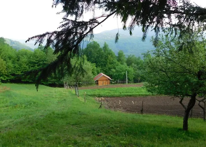 Robinzonski Turizam 